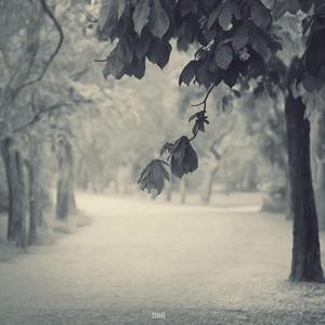 黄色大片跟刘亦菲操逼
